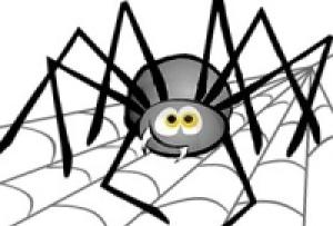 Známa ľudová povera, prečo by ste nemali zabíjať pavúky: mali by ste sa jej držať?