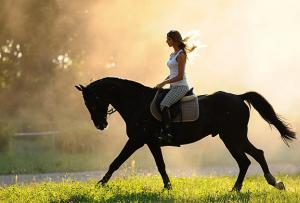 Unenägude tõlgendamine hobune, unistuste hobune, unistanud hobusest